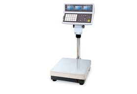 CAS EB PRICE COMPUTING SCALE (60 LB.)